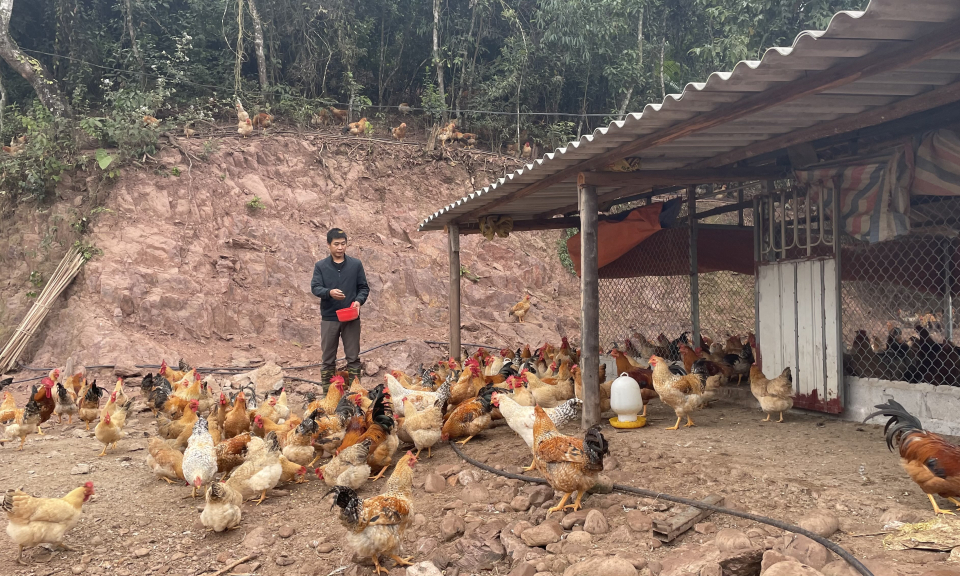 Tiên Yên: Duy trì đà tăng trưởng