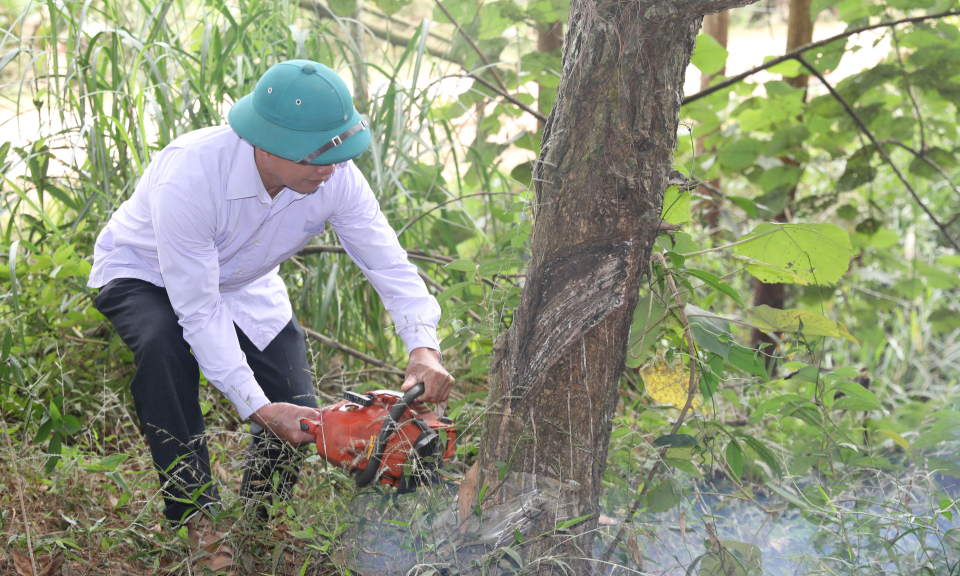 Quyết tâm hoàn thành GPMB đường tỉnh 342 trong 15 ngày