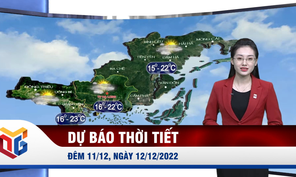 Dự báo thời tiết đêm 12/11, ngày 12/12/2022