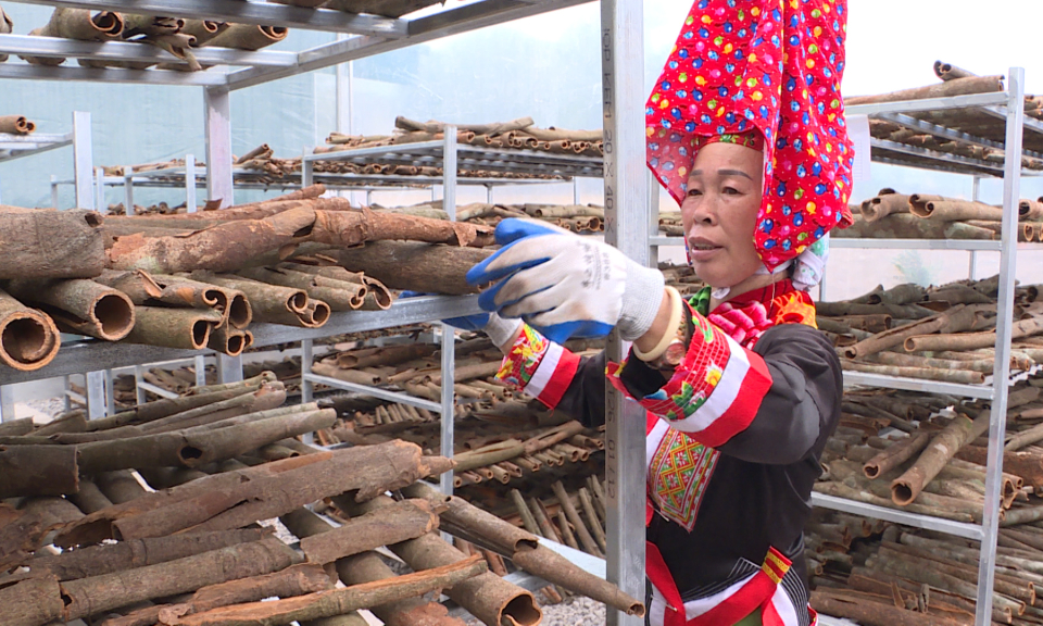 Phát triển nông nghiệp bền vững
