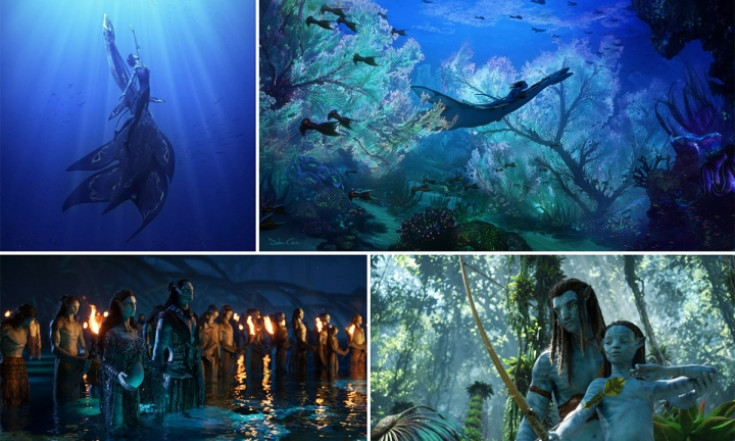 Canh bạc 'Avatar 2'