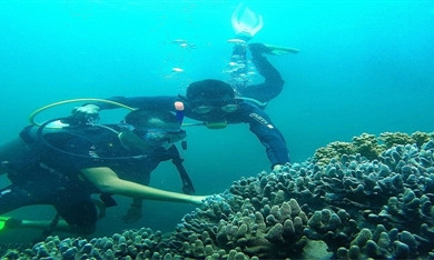 Sea and islands tourism to stimulate recovery