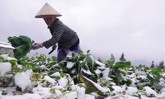 Chuyên gia cảnh báo đợt không khí lạnh rất mạnh, nhiệt độ có thể dưới 0 độ C