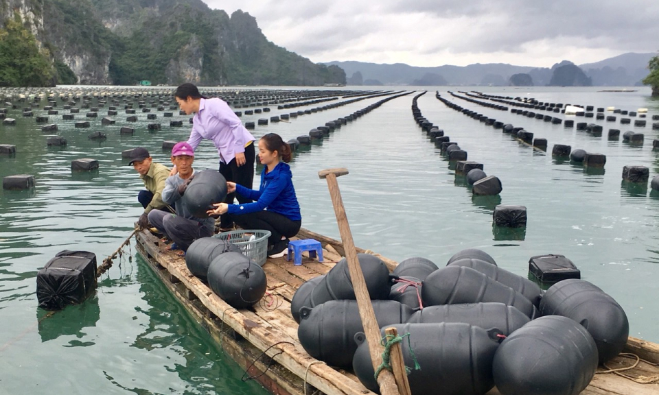 Hội Nông dân tham gia xây dựng Đảng, chính quyền vững mạnh