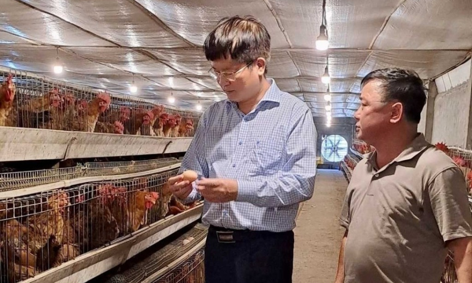 Công tác hội và phong trào nông dân năm 2022: Đa dạng, phong phú, thiết thực