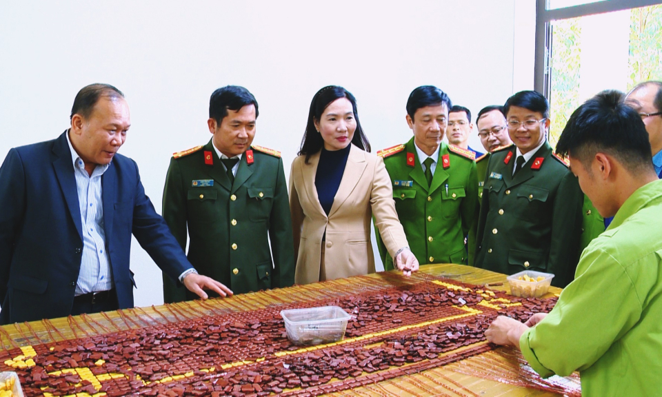 Hội nghị chuyên đề công tác phòng, chống tội phạm và tệ nạn ma túy
