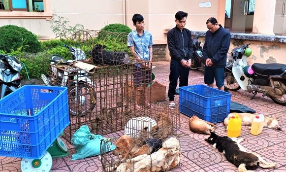 Bắt giữ 3 đối tượng trộm 3 tấn chó