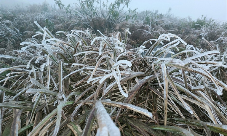 Northern region braces for extreme cold snap, frost expected in mountainous areas