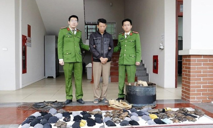 Bắt đối tượng vận chuyển 75 cá thể rùa quý hiếm đi tiêu thụ