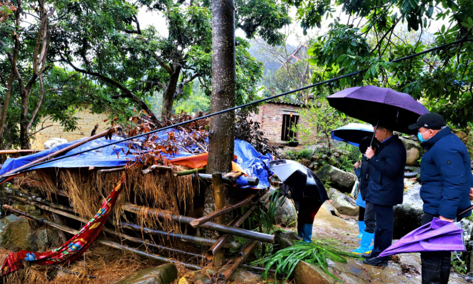Ứng phó rét hại diện rộng