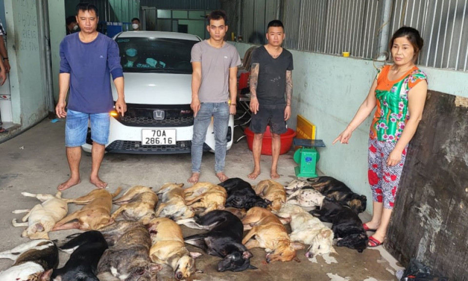 Phát hiện 1,4 tấn thịt chó thu mua từ các đối tượng trộm cắp