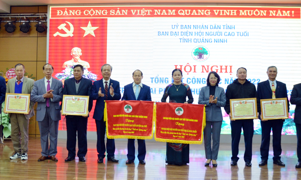 Ban Đại diện Hội Người cao tuổi tỉnh triển khai nhiệm vụ năm 2023
