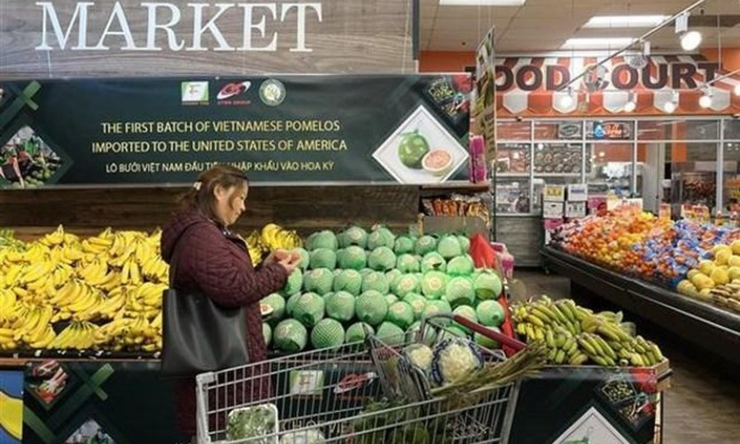 Vietnam likely to enter top seven trade partners of US: Bloomberg