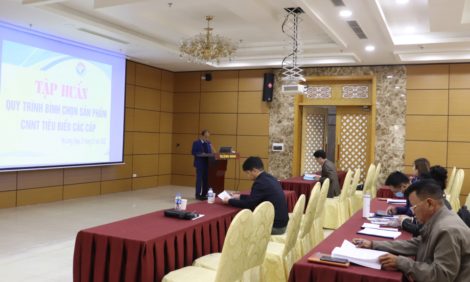 Tập huấn quy trình bình chọn sản phẩm Công nghiệp nông thôn tiêu biểu