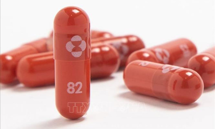 Nghiên cứu sâu về thuốc kháng virus molnupiravir trong điều trị COVID-19