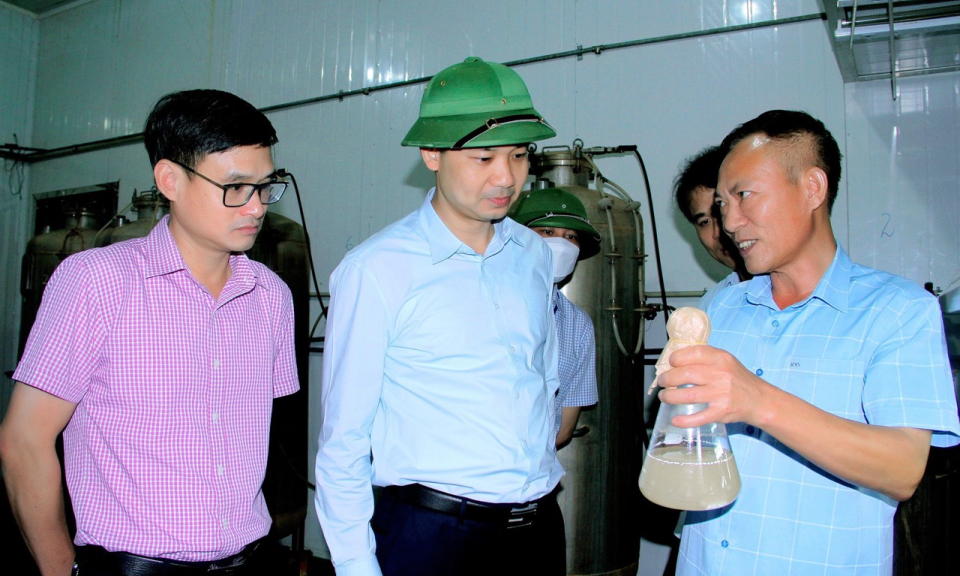 TX Đông Triều: Phát huy vai trò lãnh đạo, chỉ đạo của cấp ủy trong thực hiện nhiệm vụ