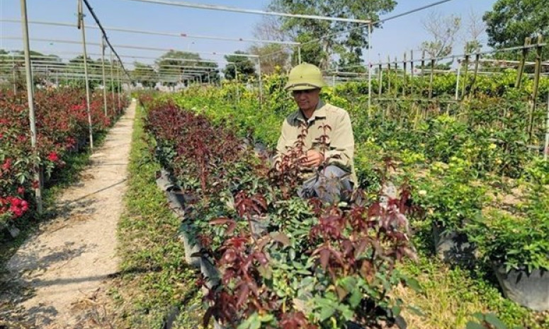 Bắc Bộ sáng sớm có sương mù nhẹ, trời rét vào đêm và sáng