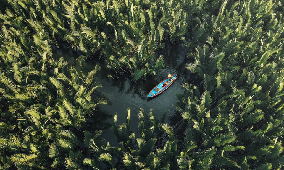 Photo of Vietnam nipa palm forest among National Geographic's 16 best of 2022
