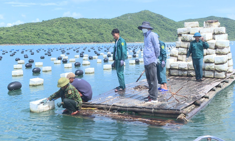 Phát triển thủy sản bền vững