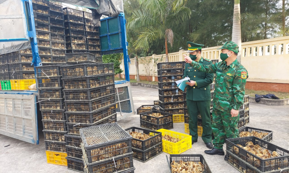 BĐBP tỉnh: Chủ động, quyết liệt các giải pháp bảo vệ an ninh trật tự dịp Tết