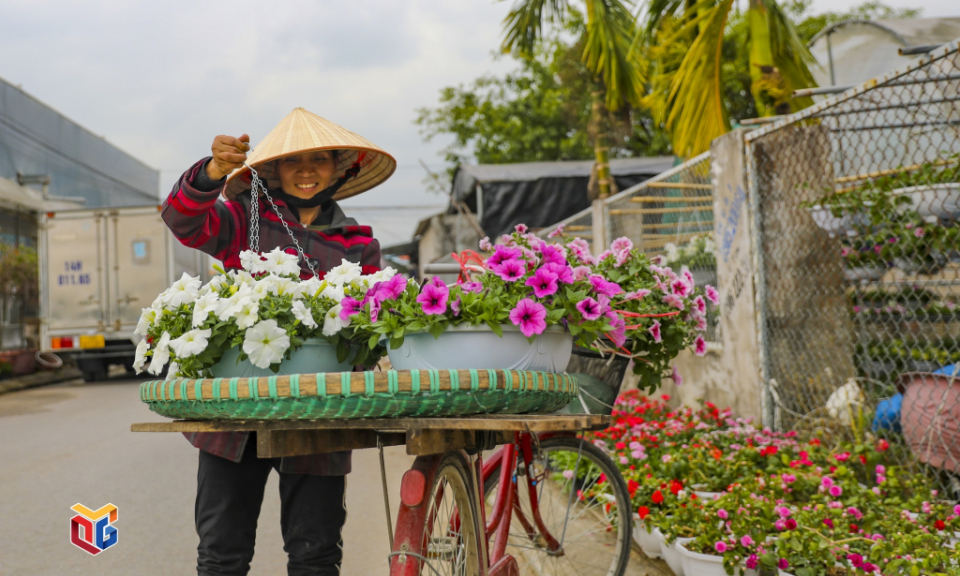 Largest flower village in Ha Long welcomes traders, tourists before New Year 2023