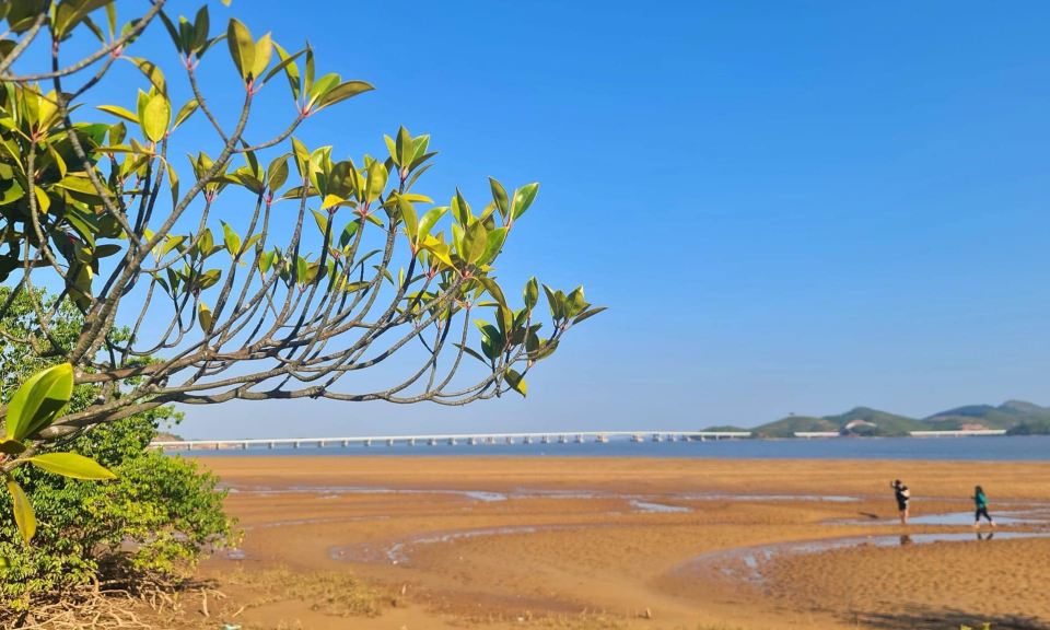 The poetic sandy beach of Long Vang cape