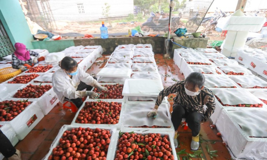 Thêm cơ hội để đẩy mạnh xuất khẩu nông sản