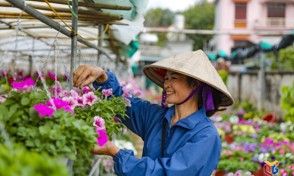 Largest flower village in Ha Long welcomes traders, tourists before New Year 2023
