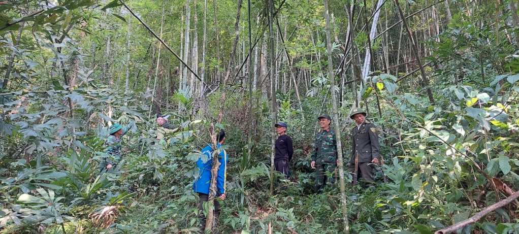 Vùng lõi rừng Quảng Nam Châu