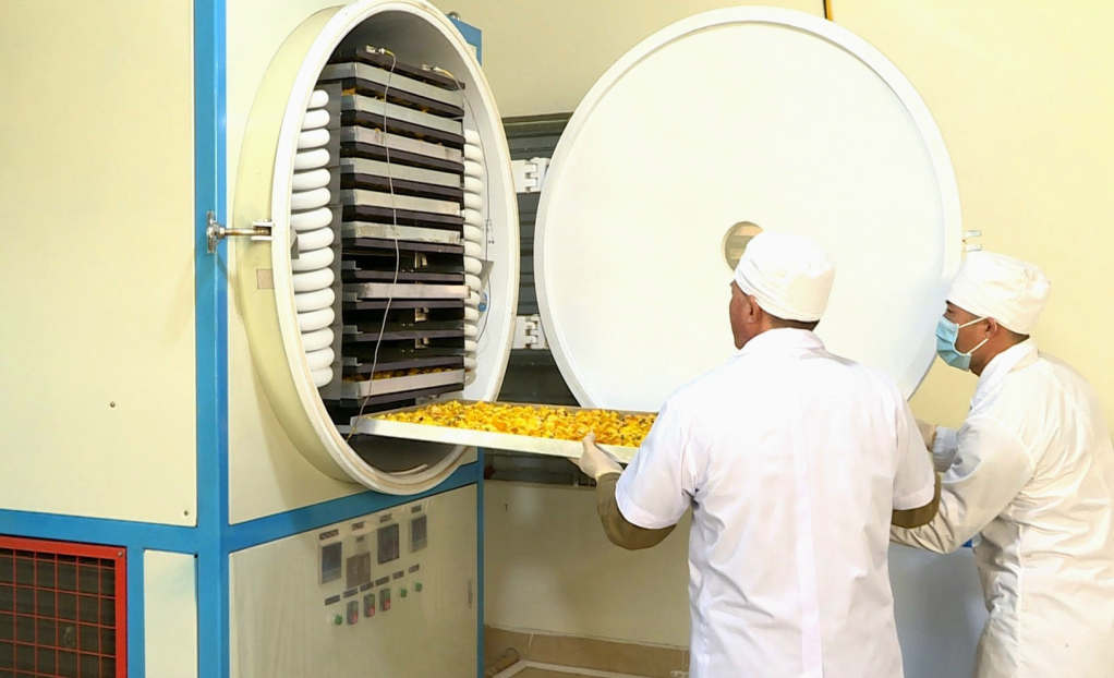 Công ty CP kinh doanh lâm sản Đạp Thanh (huyện Ba Chẽ) đưa hệ thống sấy hiện đại vào sản xuất.