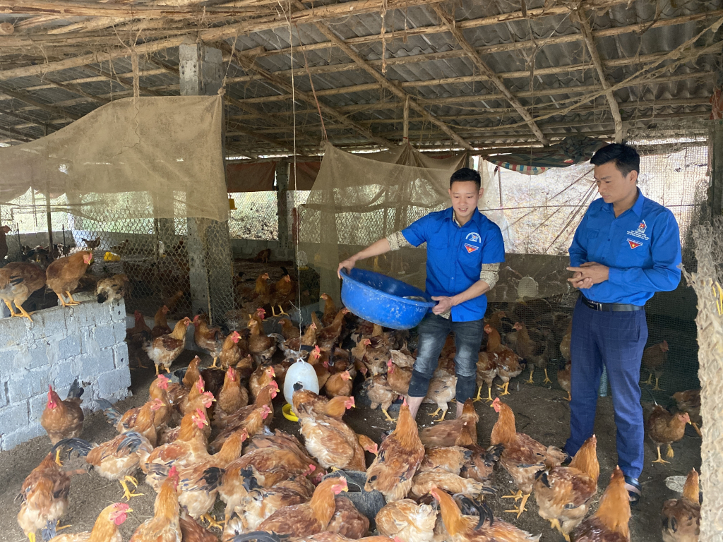 Mô hình chăn nuôi kết hợp trồng cây giống được nhiều thanh niên đến học hỏi kinh nghiệm.