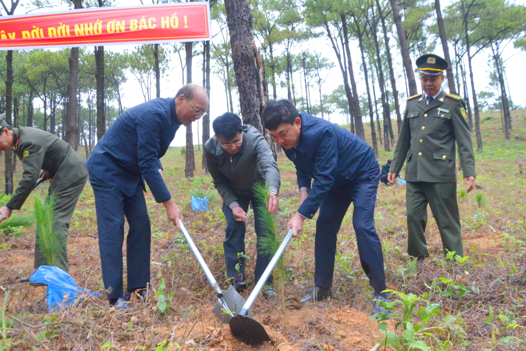 Đồng chí Ngô Hoàng Ngân, Phó Bí thư Thường trực Tỉnh ủy, tham gia trồng cây tại rừng thông phường Minh Thành, TX Quảng Yên.