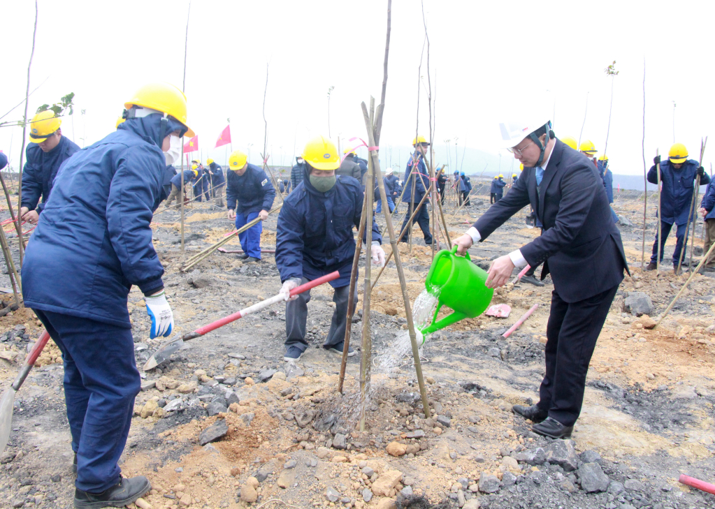 Đồng chí Cao Tường Huy, Quyền Chủ tịch UBND tỉnh tham gia trồng cây