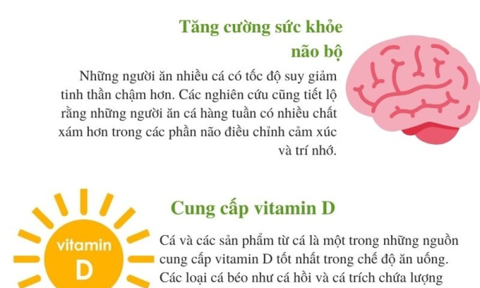 Cá bảo quản được bao lâu trong tủ lạnh?