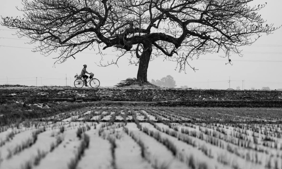 Vẻ đẹp Việt Nam qua hình ảnh trên National Geographic