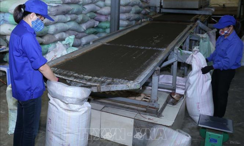Doanh nghiệp xuất khẩu tập trung tìm thị trường mới
