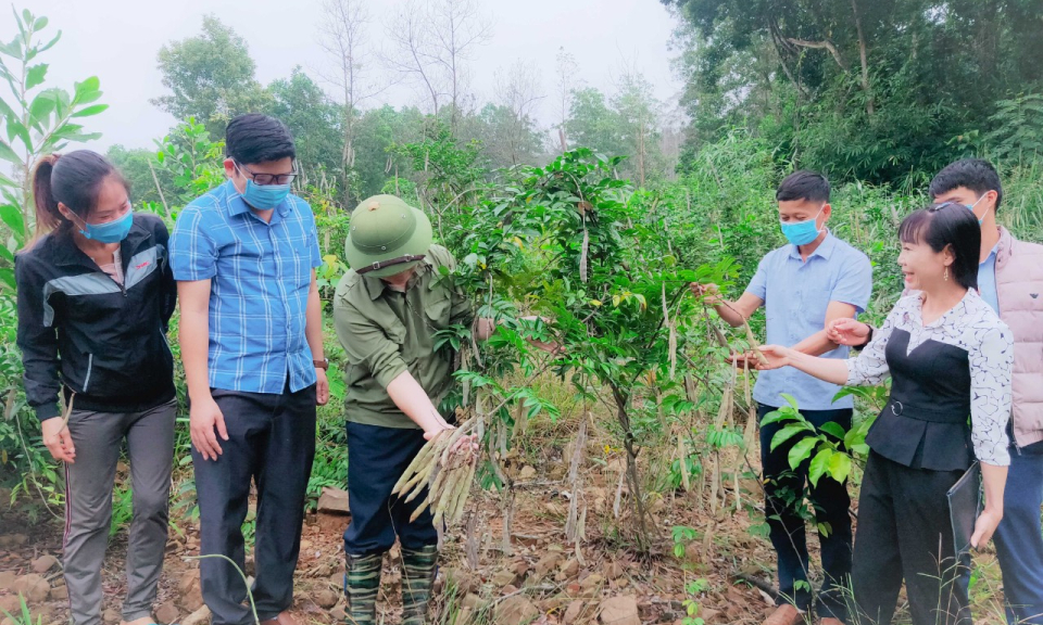 Trở lại Pha Lán