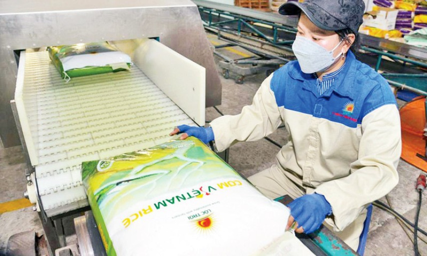 Cơ hội rộng mở cho xuất khẩu gạo