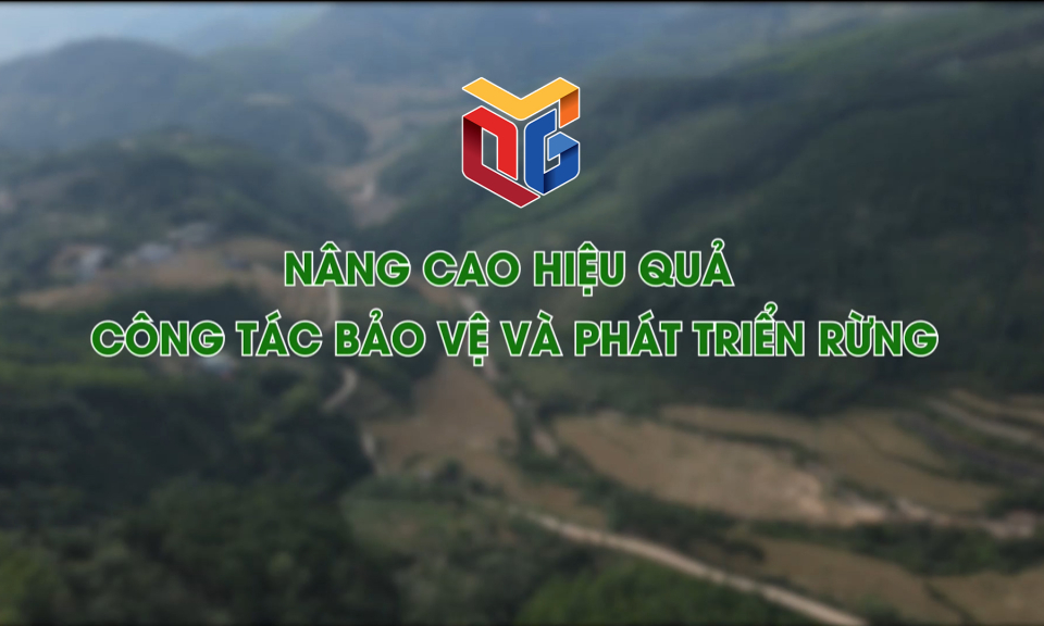 Nâng cao hiệu quả công tác bảo vệ và phát triển rừng