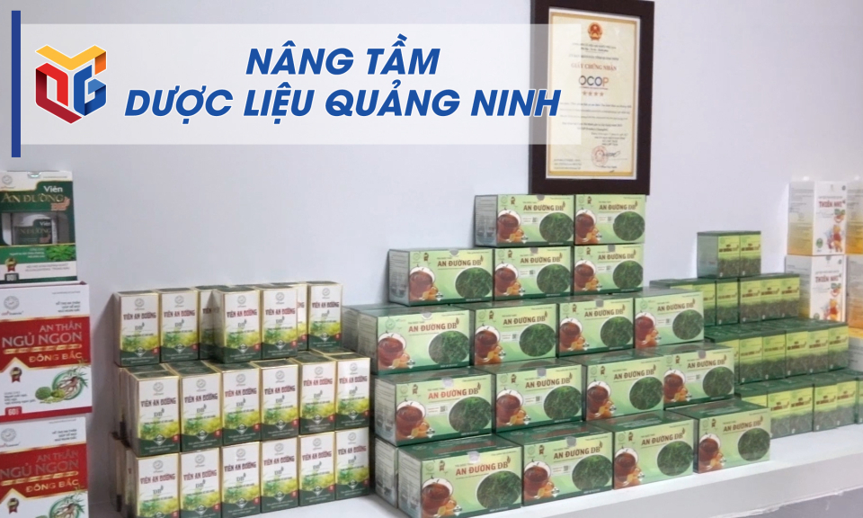 Nâng tầm dược liệu Quảng Ninh