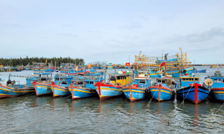 Bốn chủ tàu cá bị phạt 2,5 tỷ đồng
