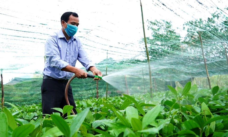 Vì một Quảng Ninh xanh