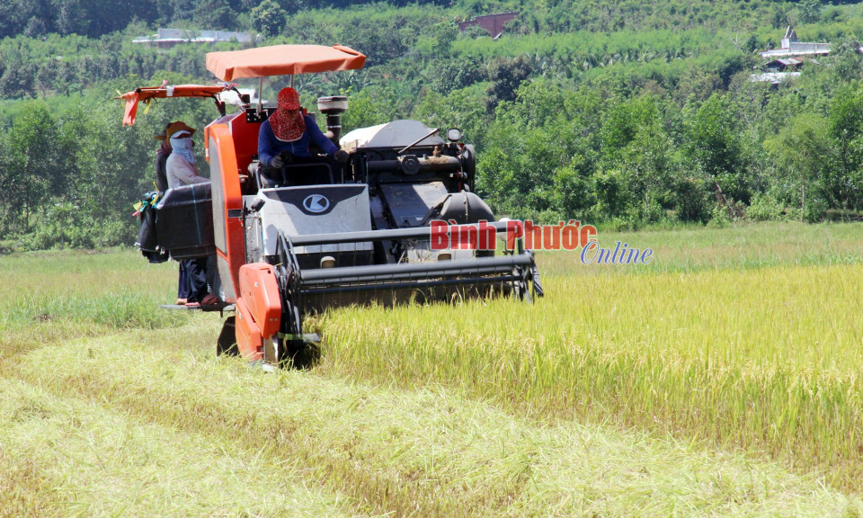 Bình Phước: Ðòn bẩy thúc đẩy kinh tế