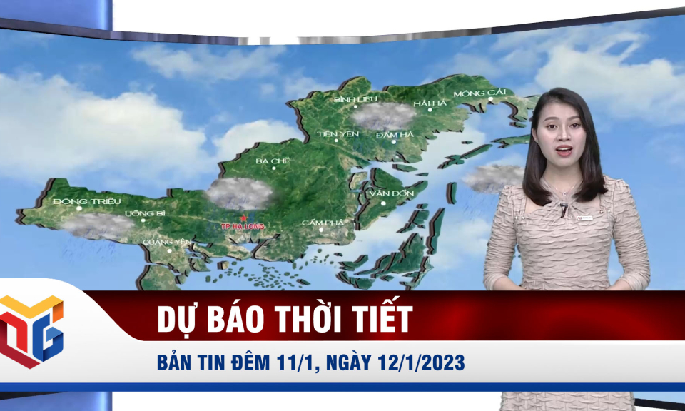 Dự báo thời tiết đêm 11/1, ngày 12/1/2023