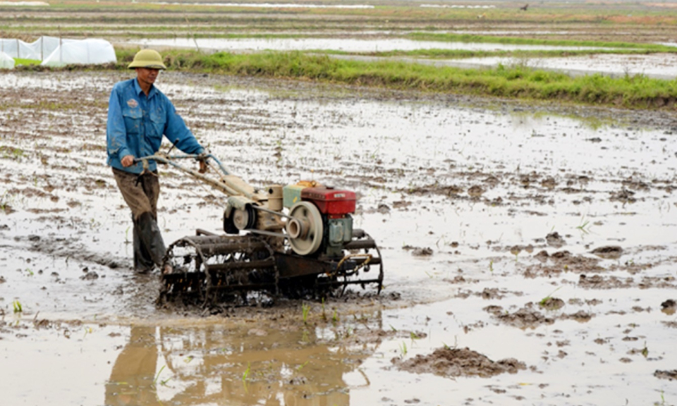 Sẵn sàng các điều kiện cho sản xuất vụ xuân