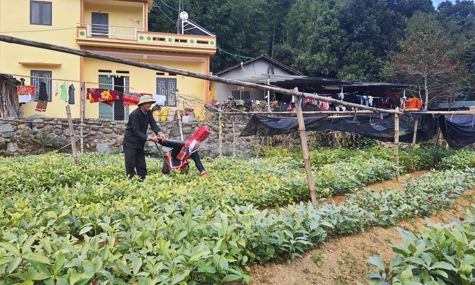 Tinh thần thoát nghèo, làm giàu ở Đồng Văn
