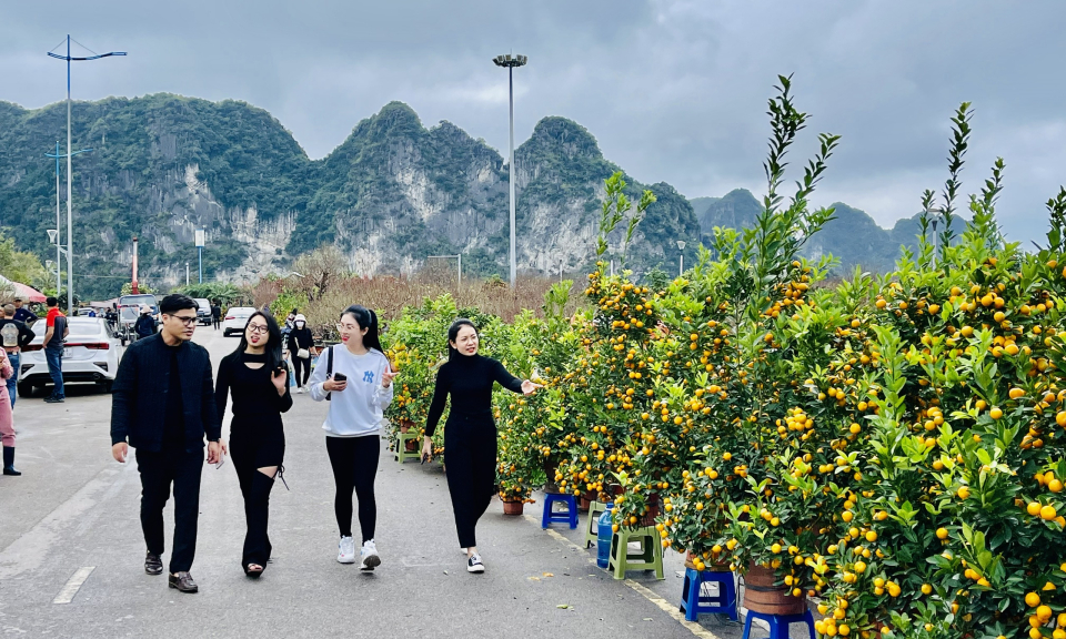 Rộn ràng Chợ hoa xuân Hạ Long 
