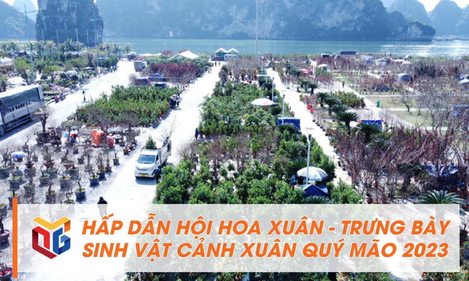 Hấp dẫn Hội hoa xuân - Trưng bày sinh vật cảnh Xuân Quý Mão 2023