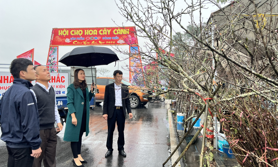 Xuân an toàn, vui tươi
