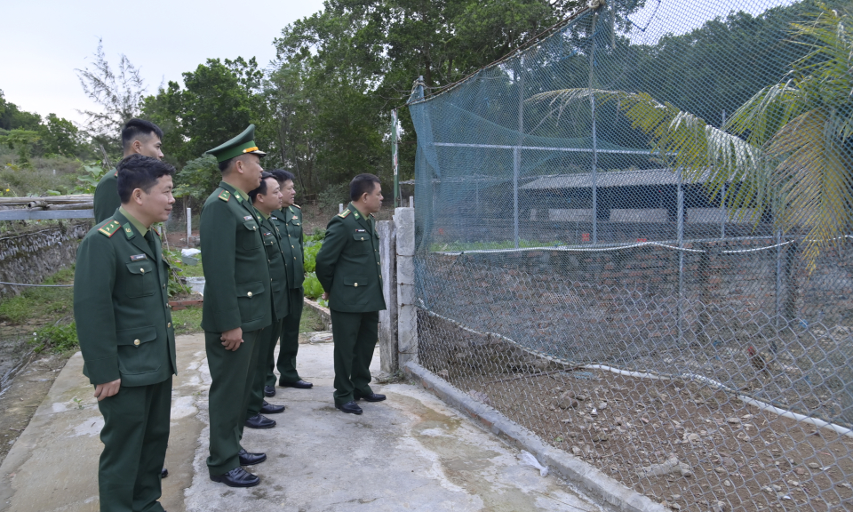 Lãnh đạo BĐBP tỉnh kiểm tra công tác quản lý, bảo vệ biên giới, vùng biển, đảo tuyến biên giới Móng Cái dịp Tết